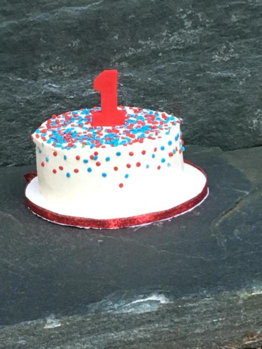 smash cake 5